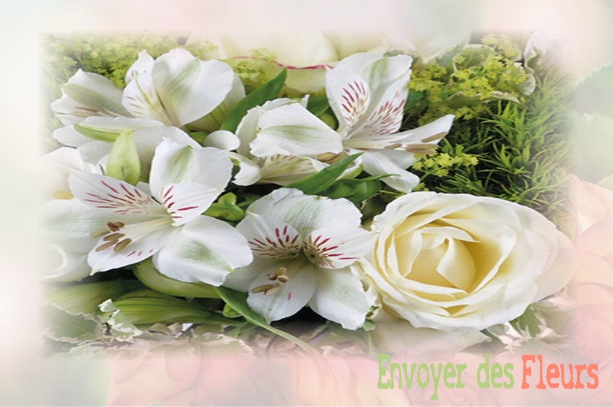 envoyer des fleurs à à LE-POIRE-SUR-VIE